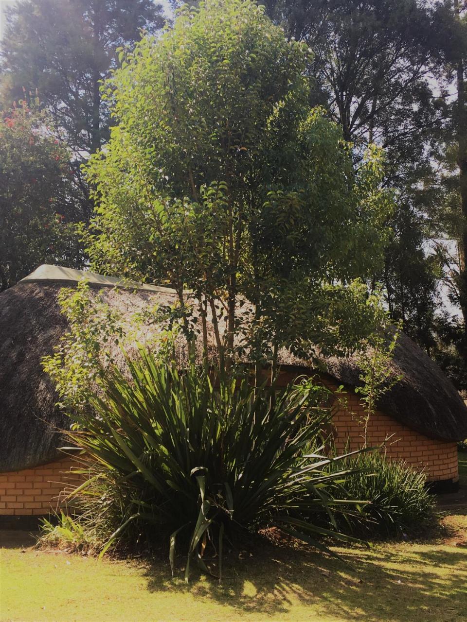 Summit Lodge Graskop Luaran gambar